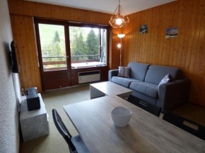Studio confortable 25m² pour 4 personnes au Chinaillon - FR-1-458-113
